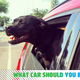 Image for article titled I Need A Cheap Car For My Big Dog And Fun Activities! What Car Should I Buy?